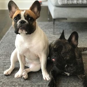 Meet your Posher, CS